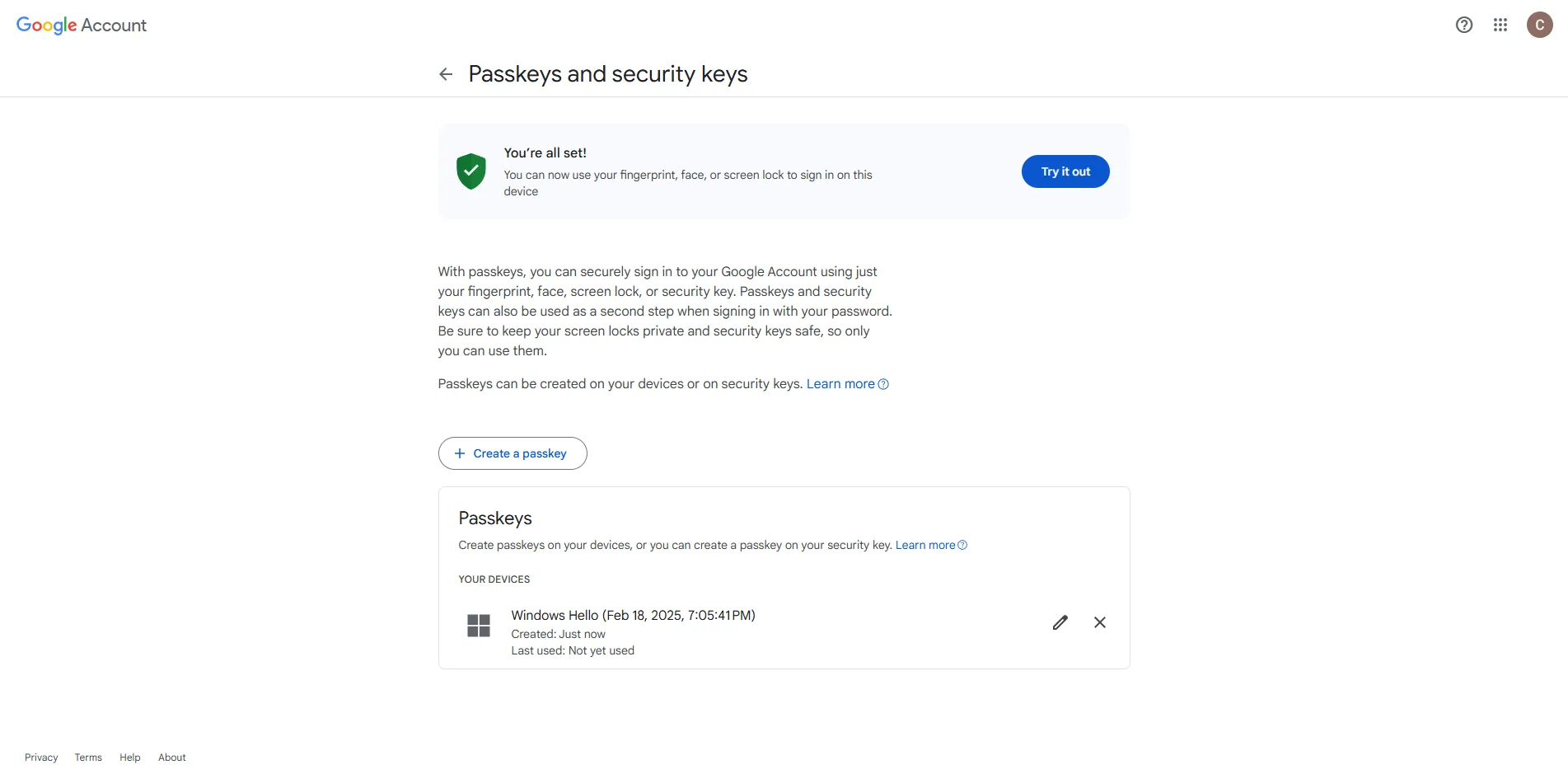 Screenshot der Google-Passkey-Seite nach dem Einrichten: „You’re all set!“ mit der Schaltfläche „Try it out“ und dem gespeicherten Windows-Hello-Passkey.